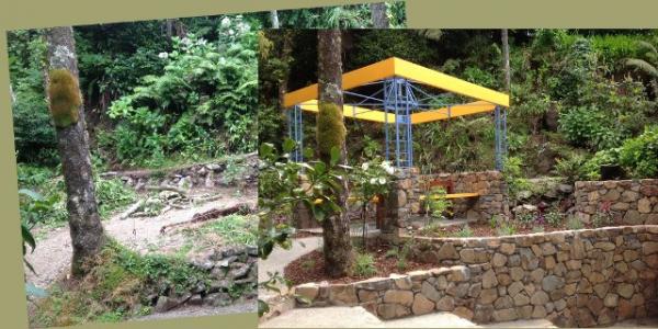 khandallah-landscape-design-before-and-after-2.jpg